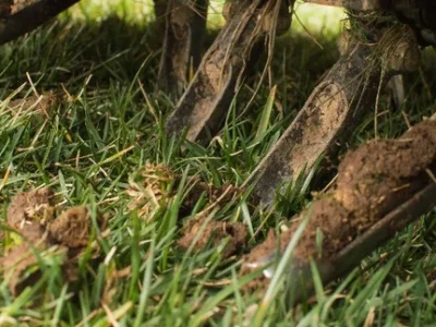 content-aerator-tines-with-soil_768 content-aerator-tines-with-soil_768